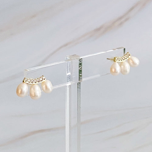 My Beauty Secret Mini Stud Earrings